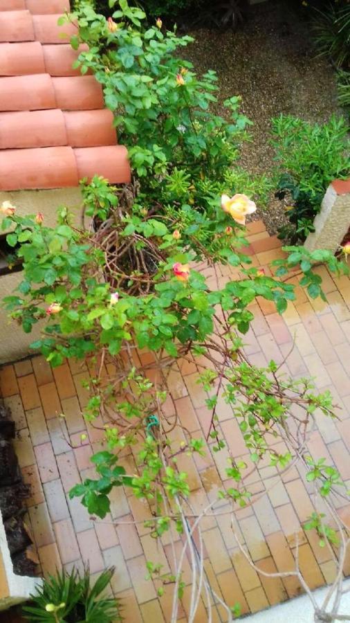 Maison Charmante A Sainte-Marie Avec Grand Jardin ภายนอก รูปภาพ